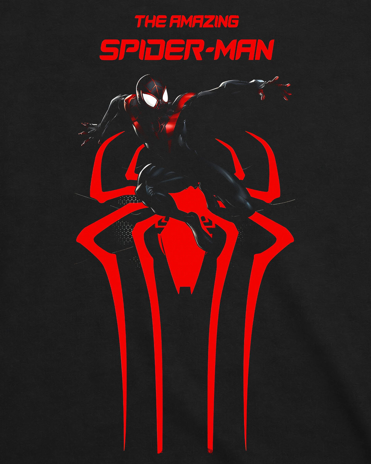 Camiseta Homem-Aranha – The Amazing Spider-Man