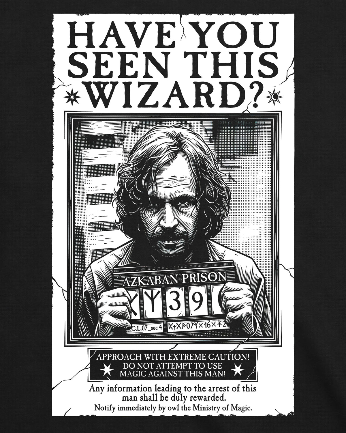 Camiseta Harry Potter – Have You Seen This Wizard?