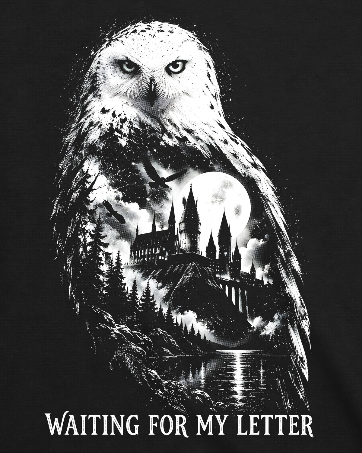 Camiseta Harry Potter – Waiting For My Letter