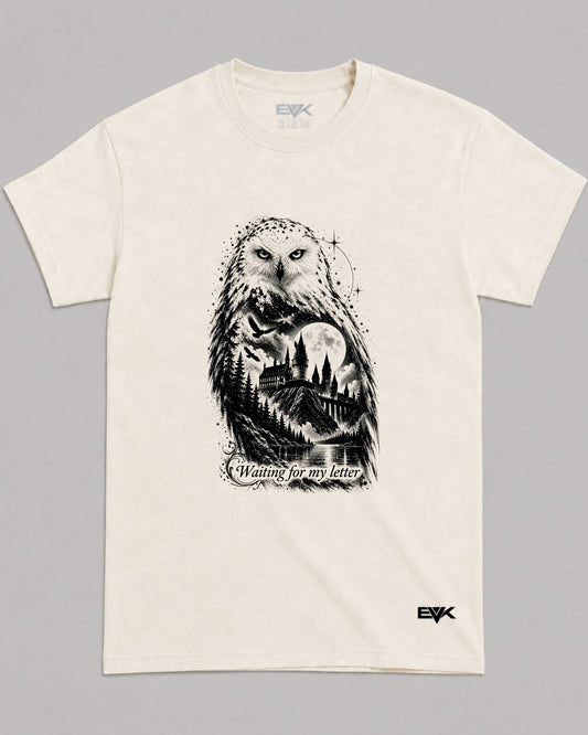 Camiseta Off-White Harry Potter – Waiting For My Letter