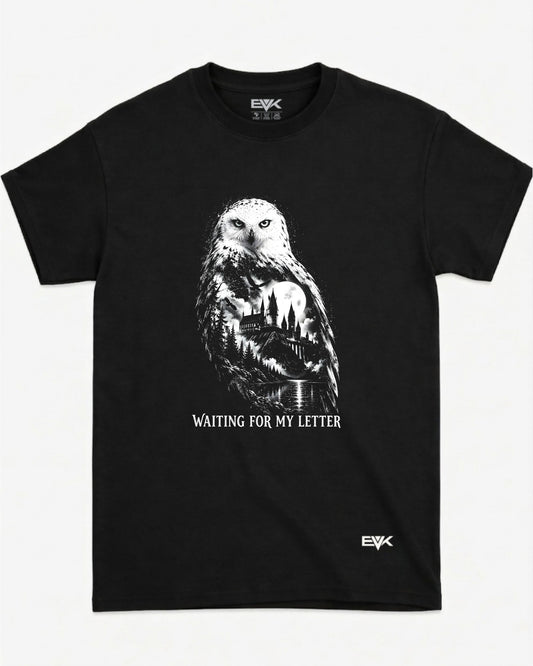 Camiseta Harry Potter – Waiting For My Letter