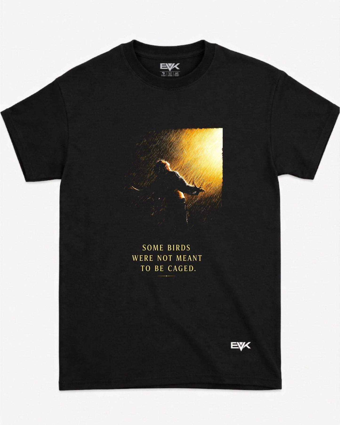 Camiseta Um Sonho de Liberdade – Free Birds