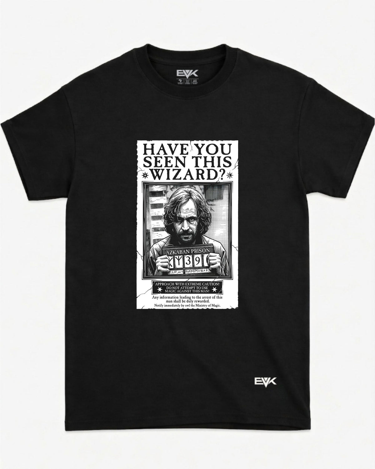 Camiseta Harry Potter – Have You Seen This Wizard?